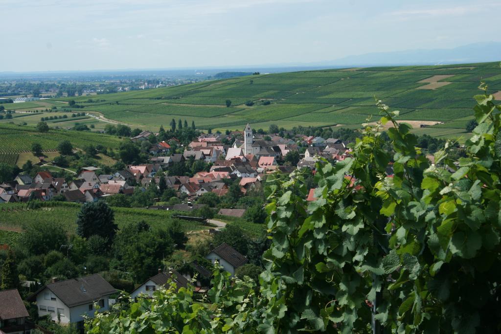 Hotel Restaurant Engel Pfaffenweiler Zewnętrze zdjęcie